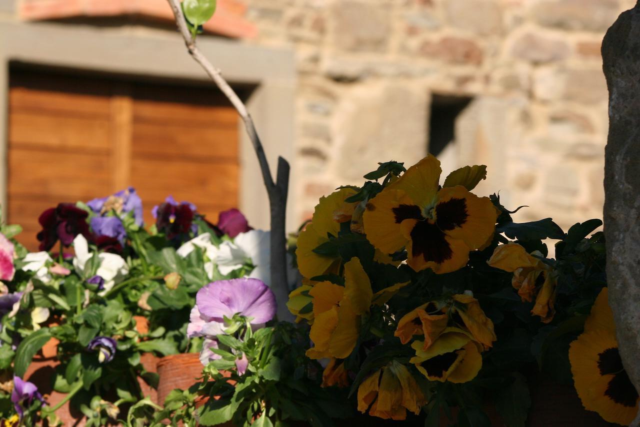 Podere Pian De' Cortini Villa Serravalle  Екстериор снимка
